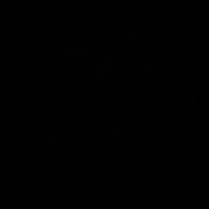 Meet your Posher, Ellen